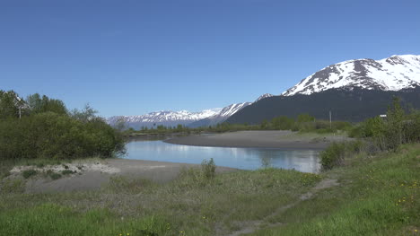 Alaska-Stream-Mit-Insekten-Zoom-In