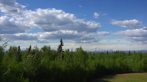 Alaska-Zoomt-Auf-Den-Mount-Denali-Vorbei-An-Einem-Hohen-Baum