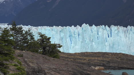 Argentinien-Kleine-Bäume-Und-Perito-Moreno-Gletscher
