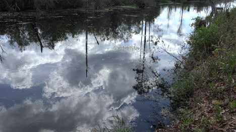 Georgia-Okefenokee-Beautiful-Cloud-Reflections-Zoom-In