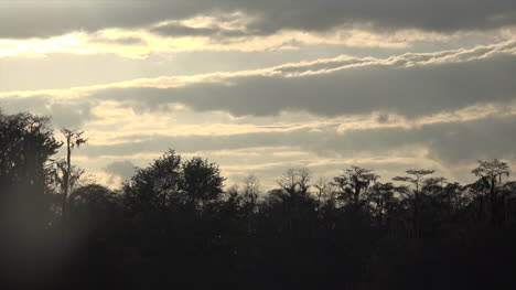 Georgia-Okefenokee-Wolken-über-Dem-Wald