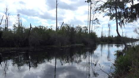 Georgia-Okefenokee-Nubes-Sobre-Agua-Pantanosa