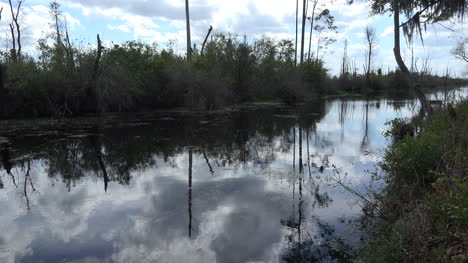 Georgia-Okefenokee-Reflexionen-In-Wolken