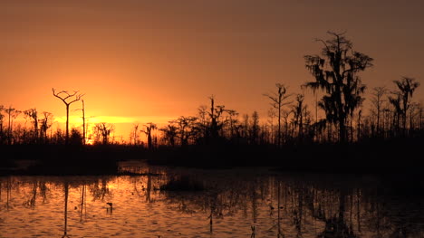 Georgia-Okefenokee-Himmel-Wird-Orange-Schwenken-Und-Zoomen