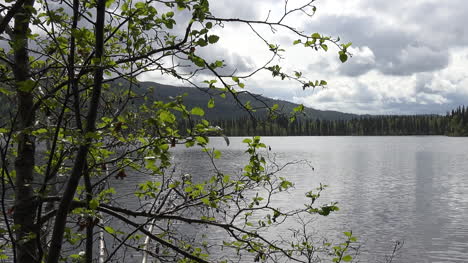 Lago-De-Alaska-Y-Pan-De-Hojas-De-Primavera