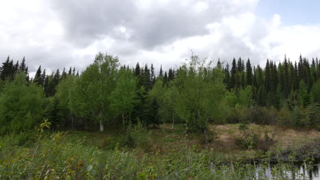 Alaska-Pond-Clouds-And-Forest-Pan