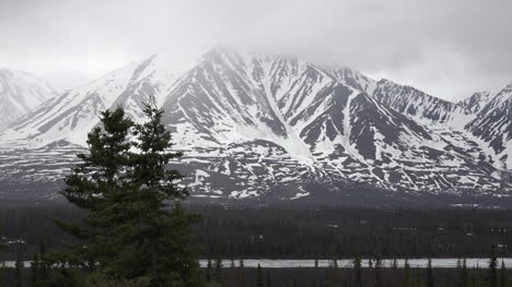 Alaska-Verschneite-Berge-Und-Fichten