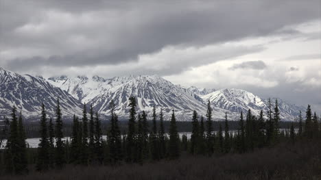 Alaska-Verschneite-Berge-Dunkle-Wolken-Und-Fichten