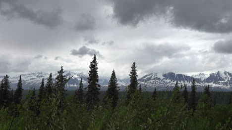 Alaska-Bäume-Und-Dunkle-Wolken-Pan