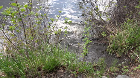 Alaska-Zooms-To-Water-On-Rock