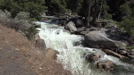 California-Merced-River-Rapids-And-Weeds-Zooms-In