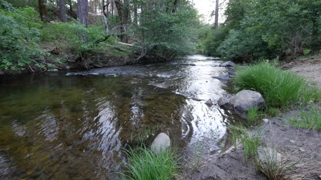 Kalifornische-Flussufer