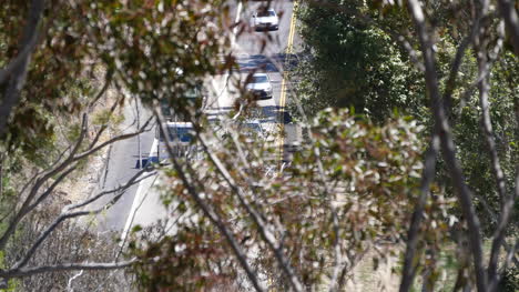 Carretera-De-California-A-Través-De-Ramas-De-Los-árboles