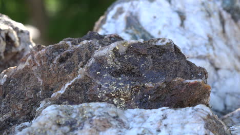 Roca-De-California-Con-Manchas-Doradas