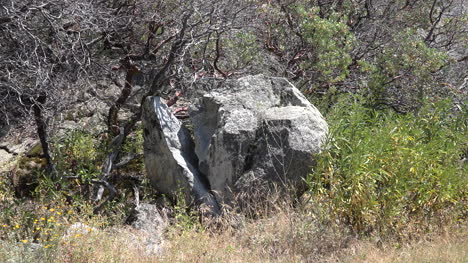 Kalifornien-Gespaltener-Felsen