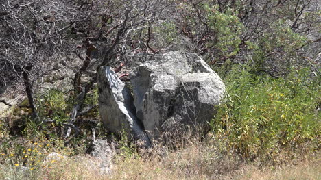 California-Split-Rock