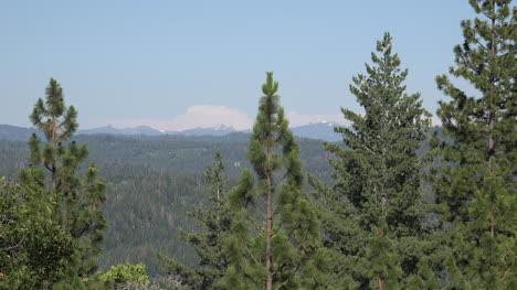 Kalifornien-Zoom-über-Den-Wald