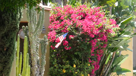 Kalifornien-Los-Angeles-Rosa-Blumenbusch-Mit-Einer-Amerikanischen-Flagge