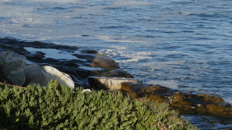 Kalifornien-Santa-Cruz-West-Cliff-Blasloch-Wellen-Verkleinern