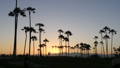 Los-Angeles-Venice-Beach-Park-Kurz-Nach-Sonnenuntergang-Mit-Palmen-Weitschuss