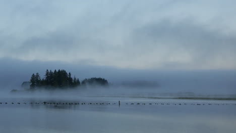 Washington-Island-Im-Nebel-Langsame-Pfanne