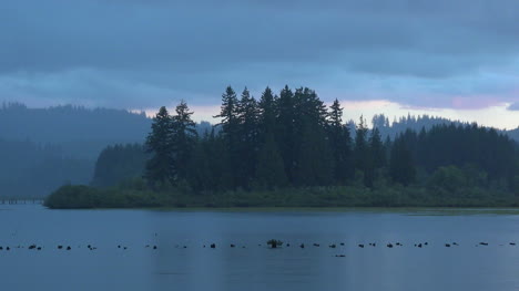 Washington-Silver-Lake-Nach-Sonnenuntergang-Pfanne