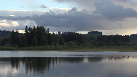 Washington-Silver-Lake-árboles-Y-Reflejos-Alejarse