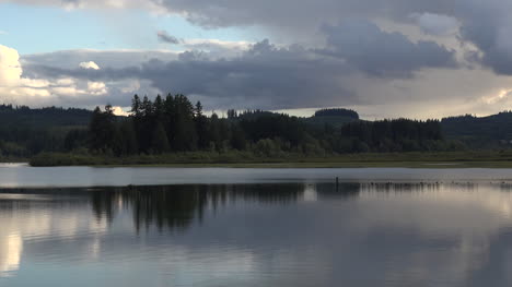 Washington-Silver-Lake-Bäume-Reflektierte-Pfanne