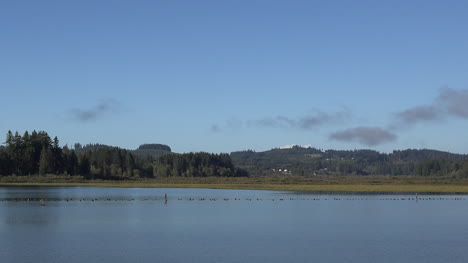 Washington-Silberpfanne-Mit-Seeblick