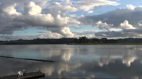 Lago-Silver-De-Washington-Con-Inclinación-Y-Zoom-De-Aves