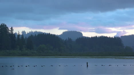 Washington-Silver-Lake-Mit-Insektenpfanne