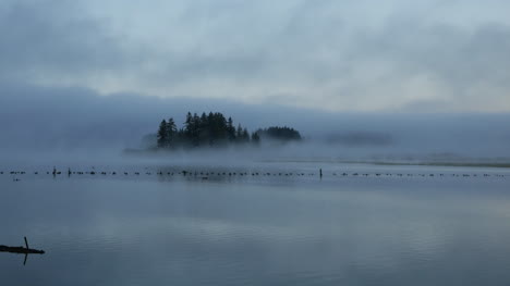Washington-Silver-Lake-Mit-Nebel-Und-Vogelpfanne