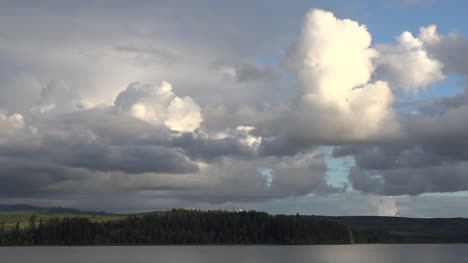 Washington-Nubes-Sobre-El-Lago-Con-Gaviota-Volando-Pan