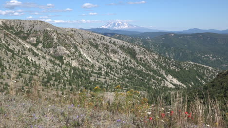 Washington-Wildblumen-Und-Mount-Adams-Vergrößern
