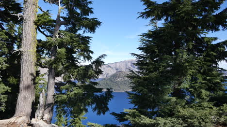 Oregon-Crater-Lake-Wizard-Island-Visto-A-Través-De-Ramas-De-Los-árboles