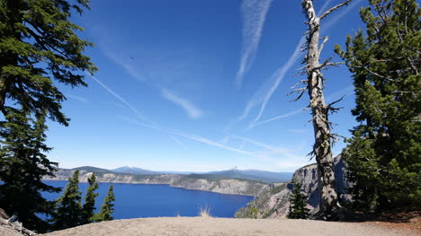 Oregon-Kratersee-Toter-Baum-Und-Aussicht