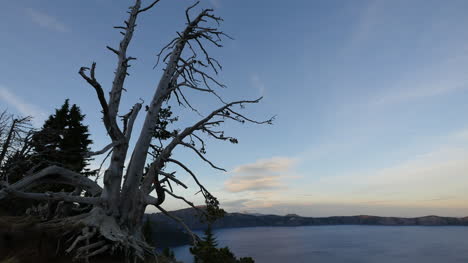 Lago-Del-Cráter-De-Oregon-Enmarcado-Por-Un-árbol-Muerto-Al-Atardecer