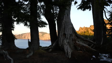 Lago-Del-Cráter-De-Oregon-A-Través-De-Los-Troncos-De-Los-árboles