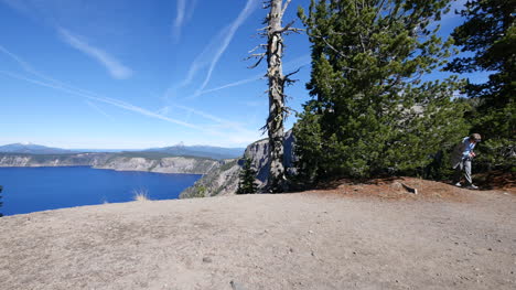 Oregon-Kratersee-Kippt-Toten-Baum-Auf