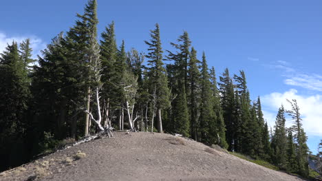 Oregon-Kraterseebäume-Auf-Kargen-Hügeln