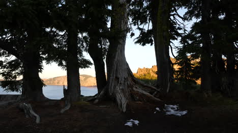 Oregon-Krater-Seeblick-Mit-Baumstämmen