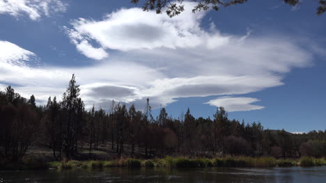 Oregon-Wolken-über-Waldschwenk-Und-Zoom