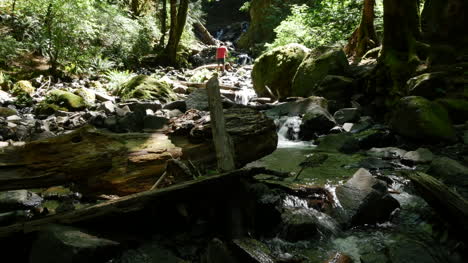 Oregon-Flowing-Stream-With-Boy-In-The-Diistance