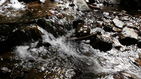 Oregon-Fließendes-Wasser-In-Bachpfanne