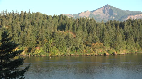 Oregon-Bewaldete-Insel-Und-Berg