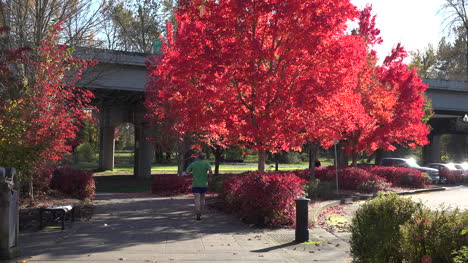 Oregon-Mann-Joggt-Auf-Dem-Weg-On