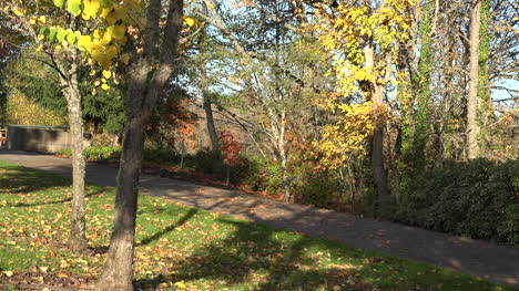 Oregon-Men-Walking-On-Bike-Path