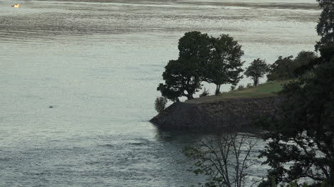 Oregon-Trees-Y-Columbia-Río