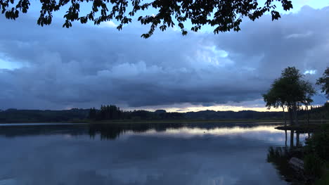Washington-Silver-Lake-Blattfransen