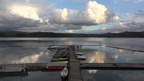 Washington-Silver-Lake-Hombre-Caminando-En-El-Muelle